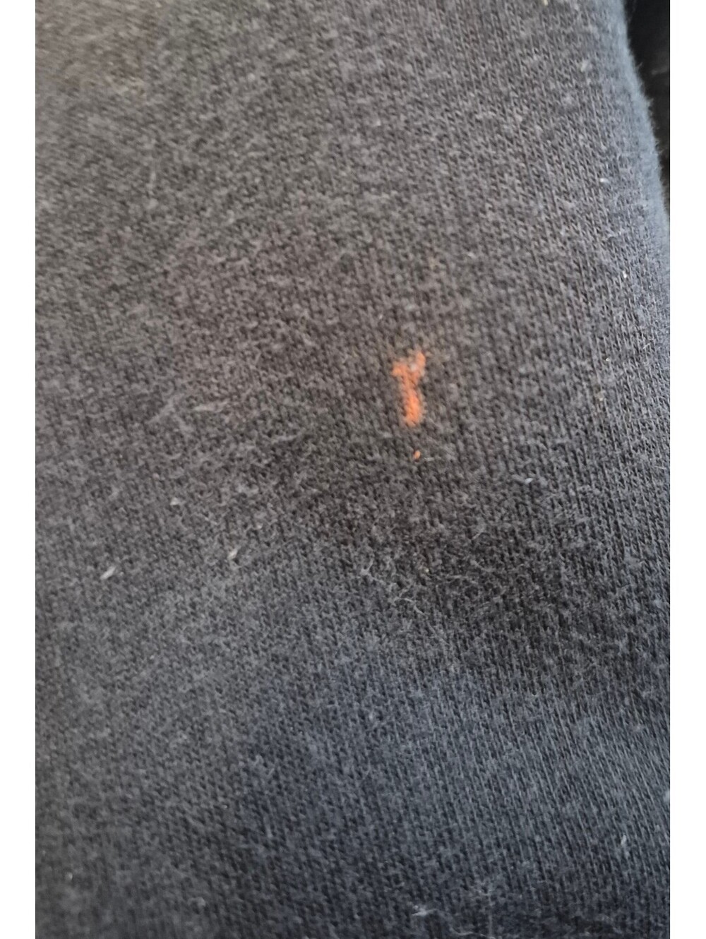Harley-Davidson Hoodie - Picture 7 of 7